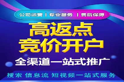 百度竞价广告成功案例：如何实现ROI最大化